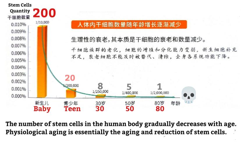 Stem cell chart