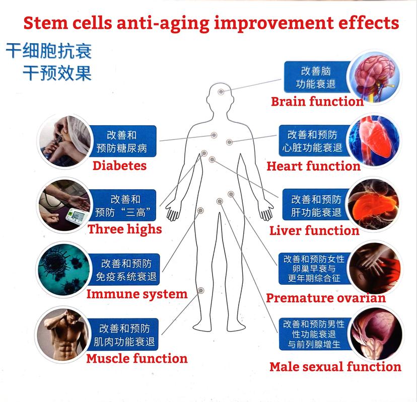 Stem cell chart