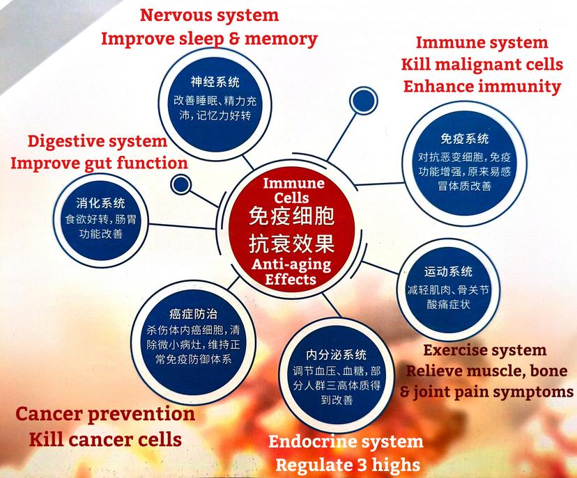 Anti-aging six circles