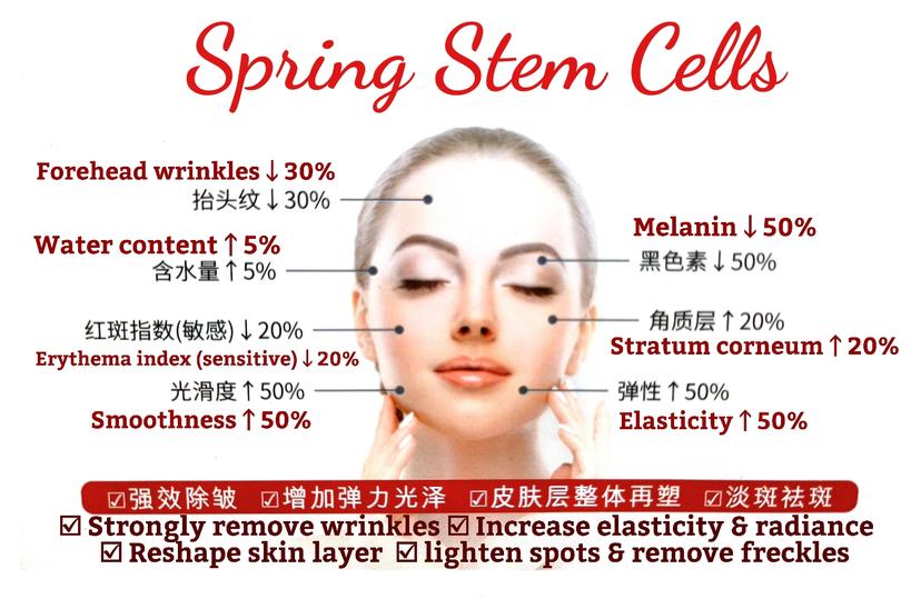 Stem cell beauty english diagram