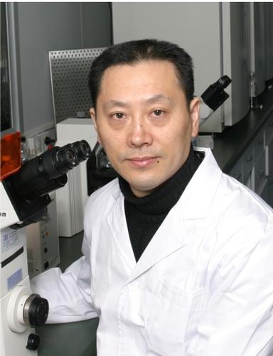 Prof. Robert Chunhua Zhao